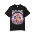 Alpha Male Cat T-Shirt — Retro Rainbow Kitten Graphic Tee